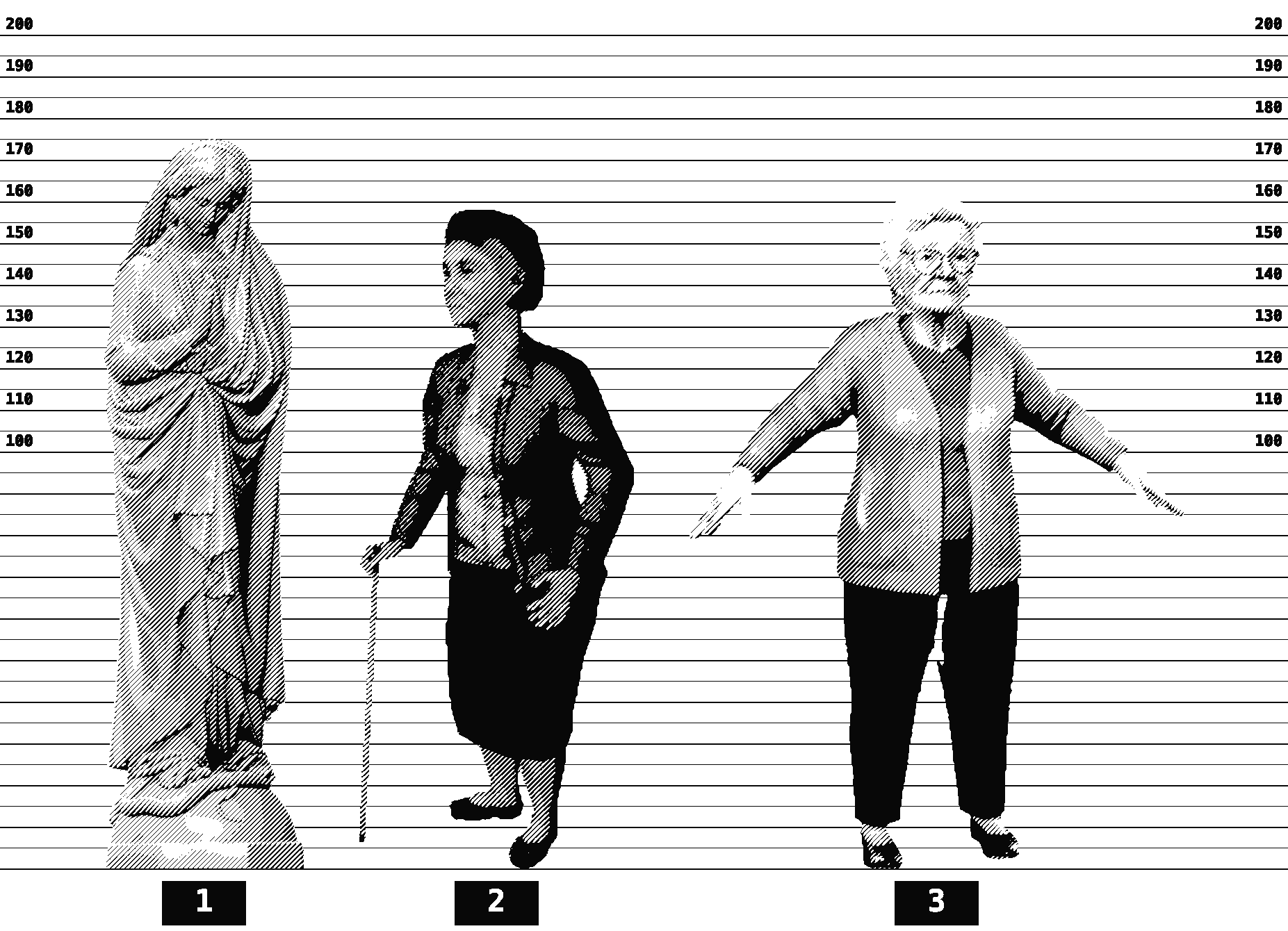 sh_asset_22 // lineup